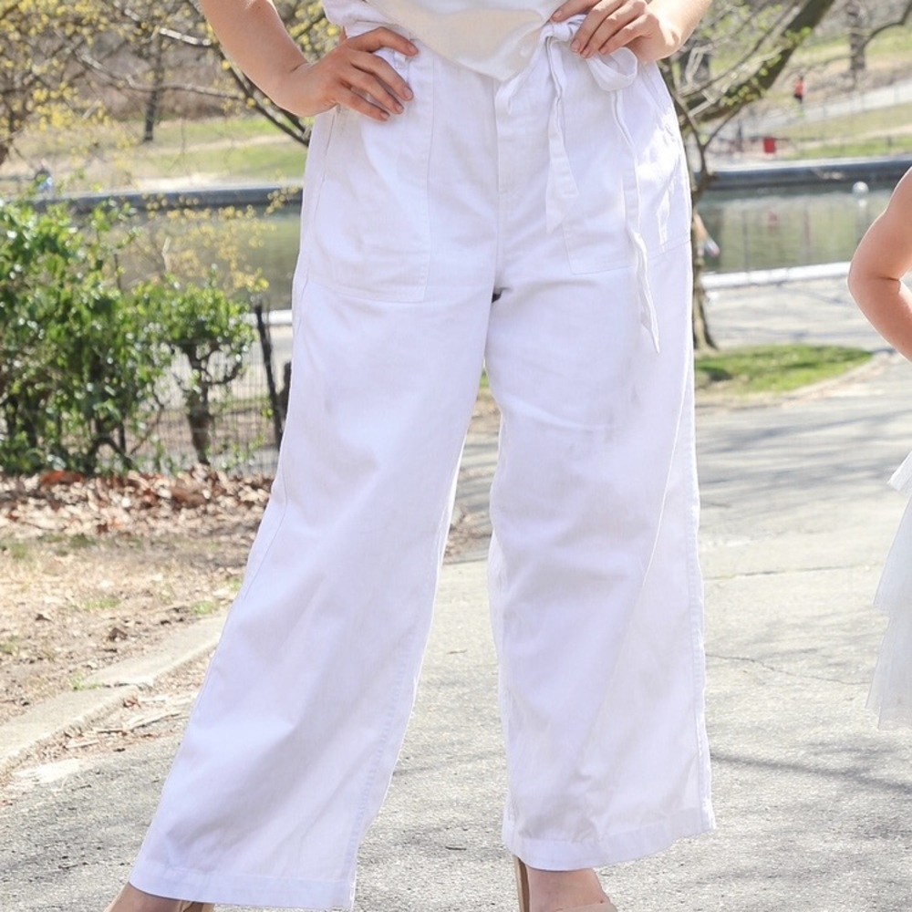 American Eagle wide leg size Large pant